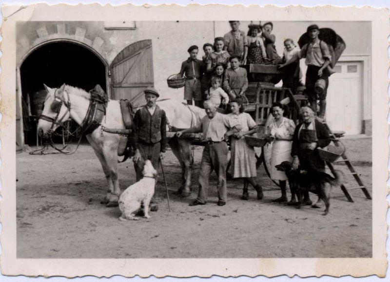 Domaine de la Chanteleuserie